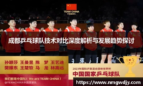 成都乒乓球队技术对比深度解析与发展趋势探讨